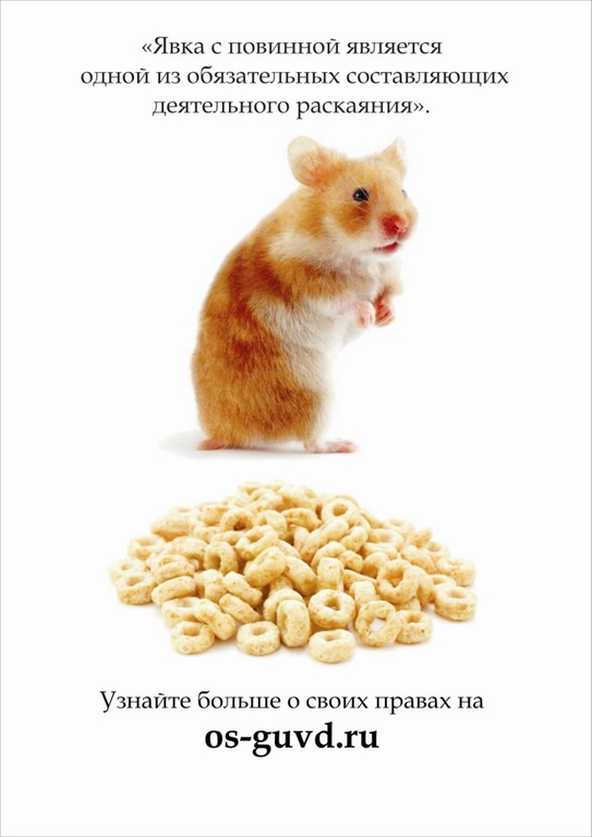 в мире животных