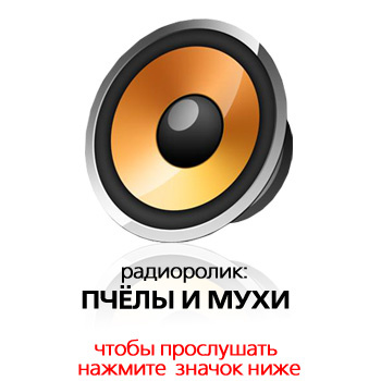 пчелы и мухи